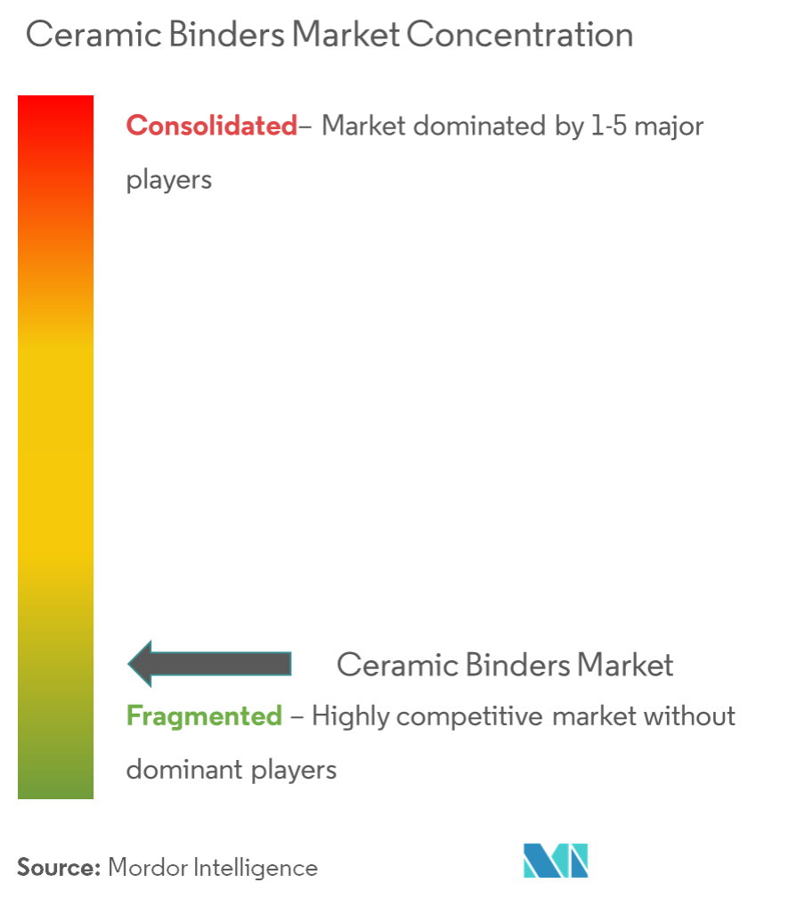Ceramic Binders Market Concentration 3M, Almatis, Bhiwadi Polymers Limited, The DuPont Chemical Company, Kuraray, Kyoeisha Chemical Co. Ltd, Polychemistry, Ransom & Randolph